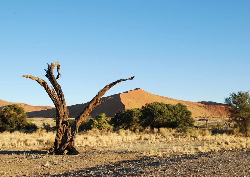 79701 Natur - Namibia Puzzle