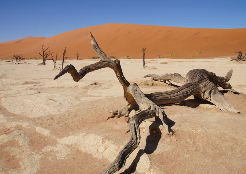 79718 Natur - Deadvlei Puzzle