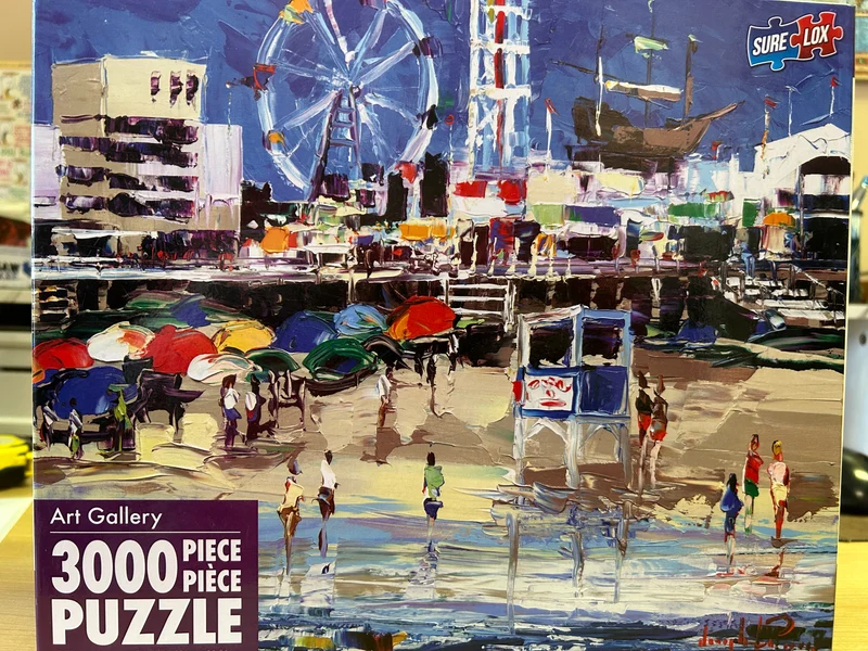 PFG At The Shore (3000pcs) (Usage/Used - PUZZLES FOR GOOD)