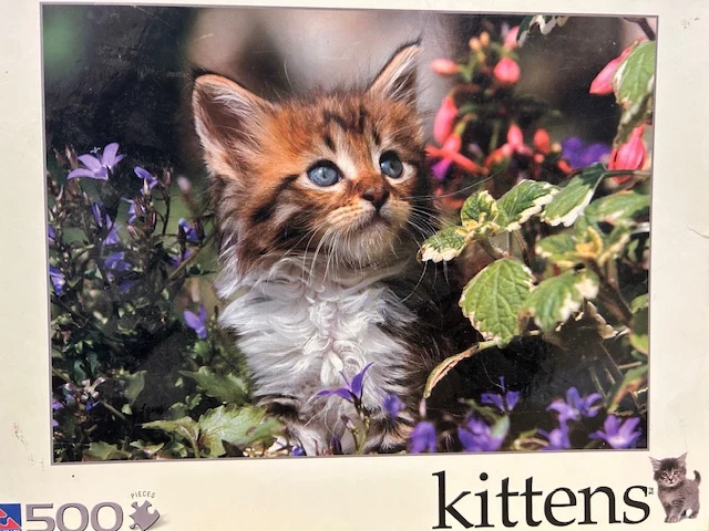 PFG Maine Coon Kitten (Usage/Used - PUZZLES FOR GOOD)
