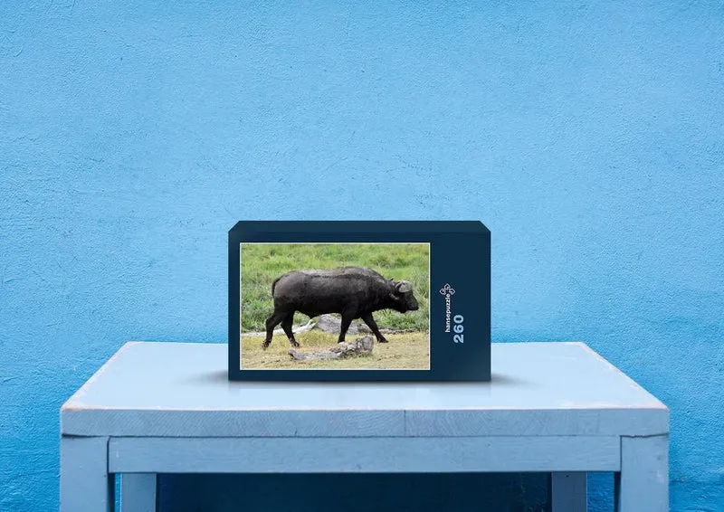 80724 Natur - Bison Puzzle