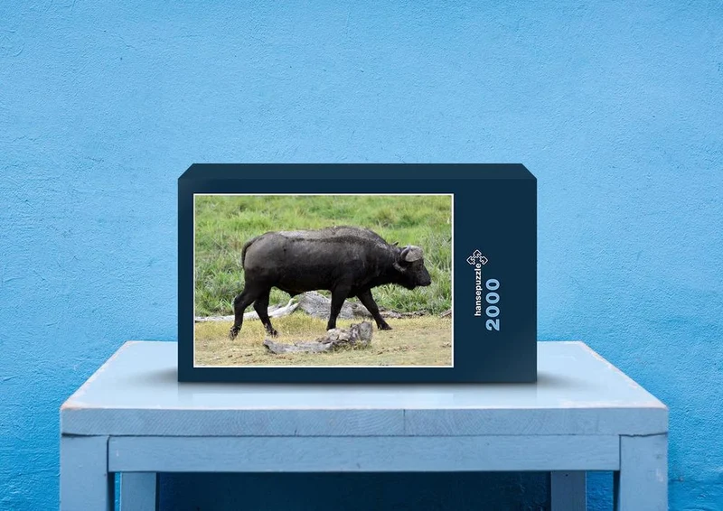 80724 Natur - Bison Puzzle