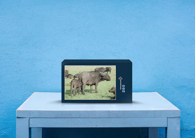 80738 Natur - Bison Puzzle