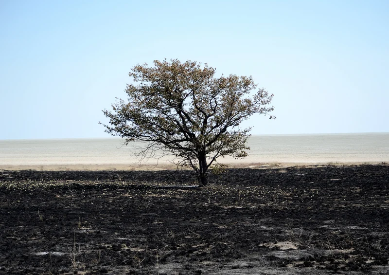 79752 Natur - Namibia Puzzle