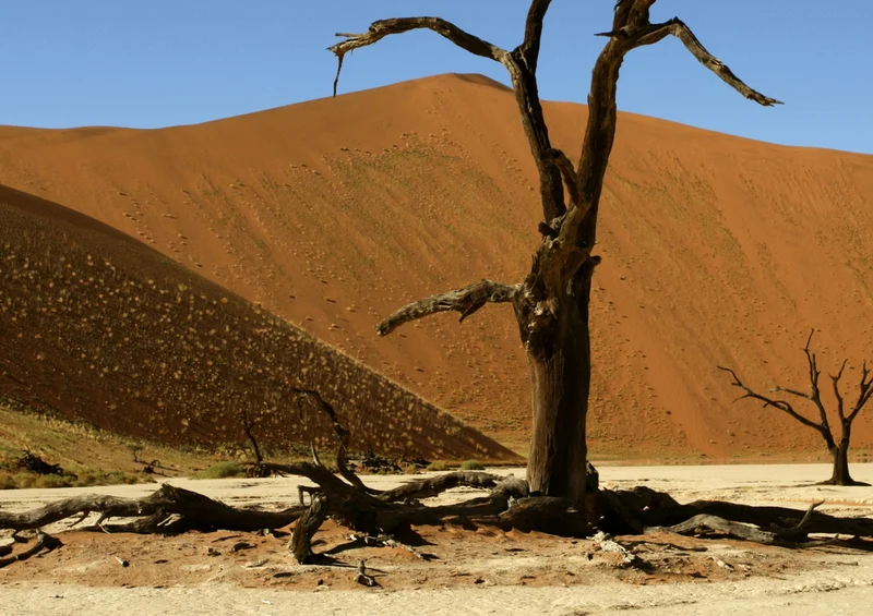 79773 Natur - Namibia Puzzle