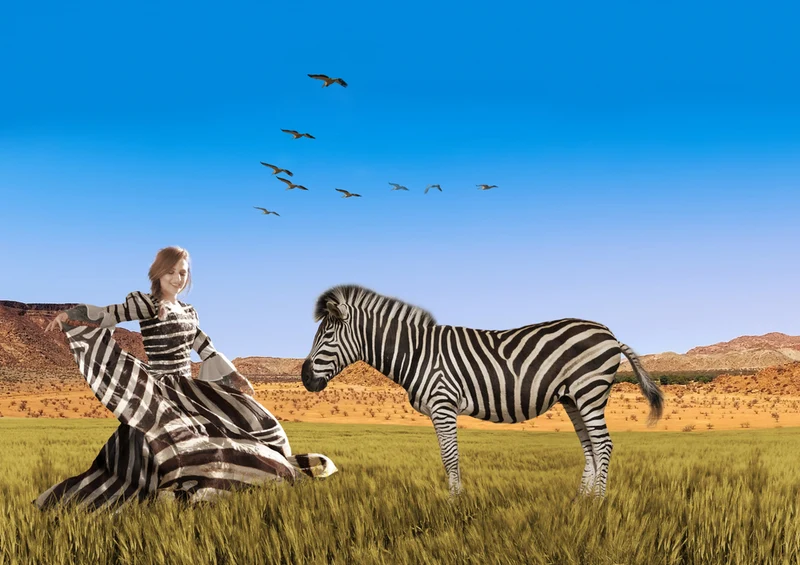 80414 Hintergründe - Zebras Puzzle