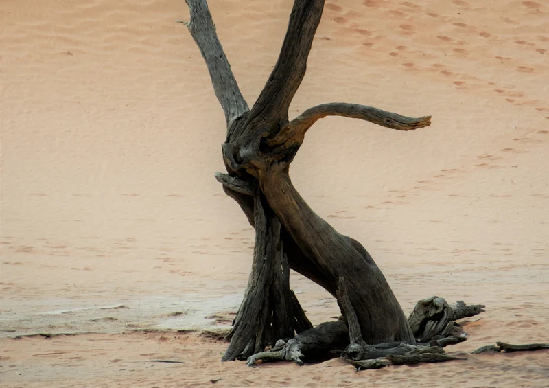 80429 Natur - Namibia Puzzle