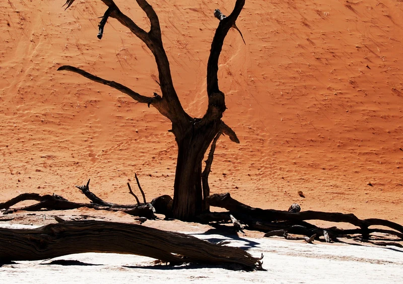 79775 Natur - Namibia Puzzle
