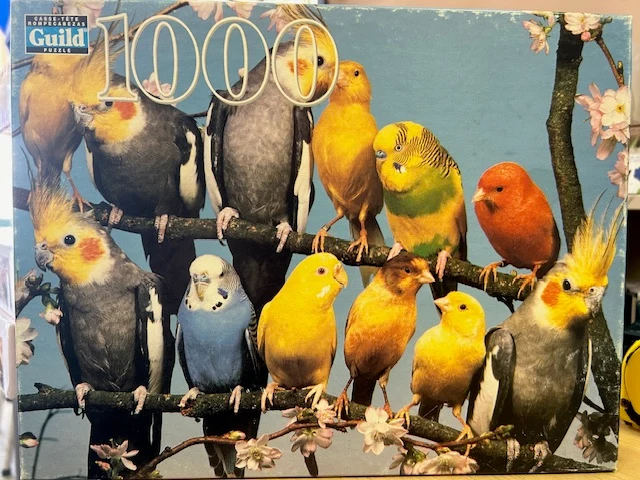 PFG Birds on a Branch (Usage/Used - PUZZLES FOR GOOD)