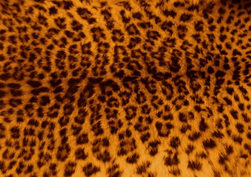 80443 Hintergründe - Leopard Puzzle
