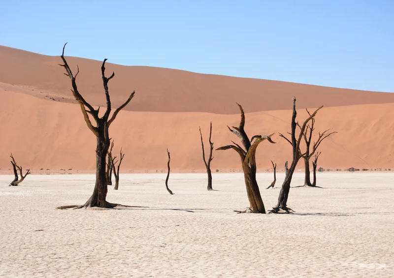 80457 Natur - Namibia Puzzle