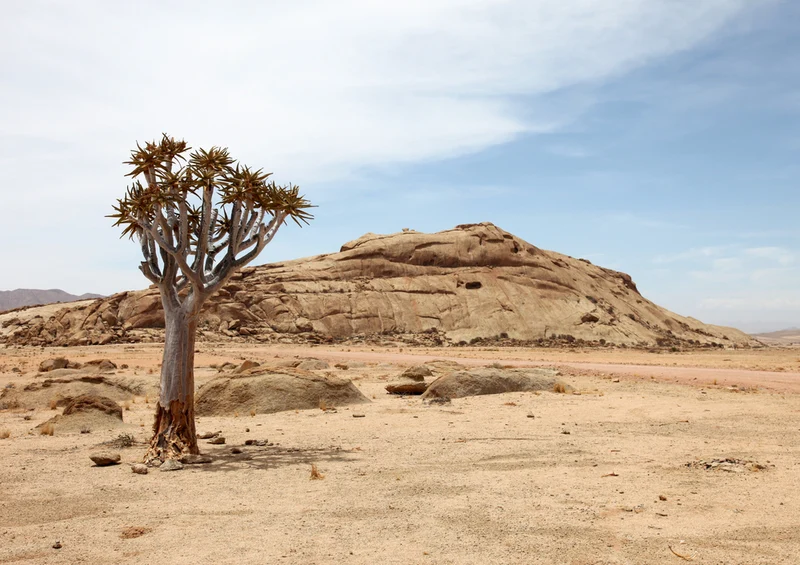 80075 Natur - Afrika Puzzle