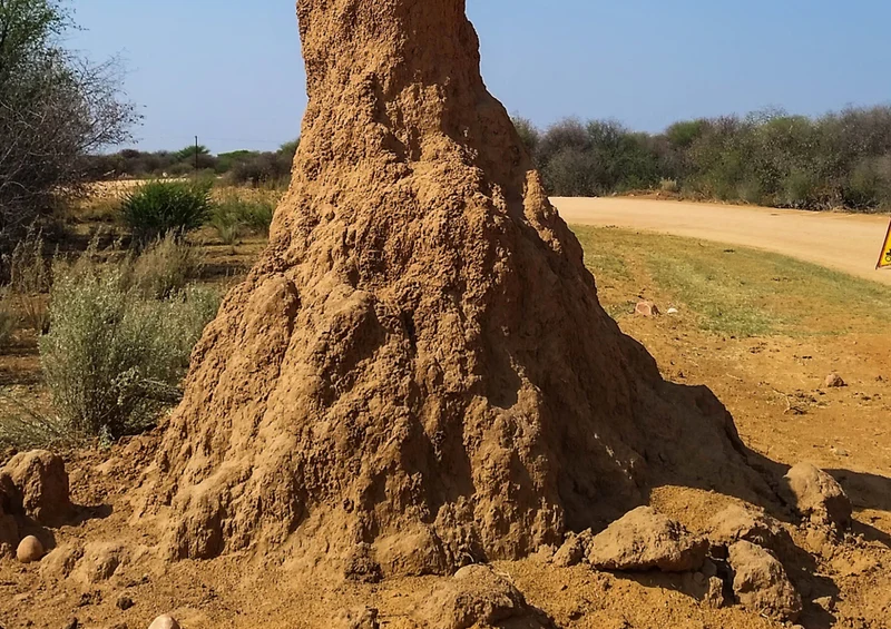 79858 Natur - Namibia Puzzle