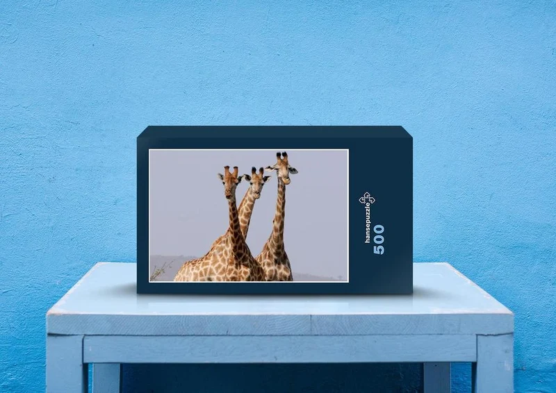 79139 Natur - Giraffen Puzzle