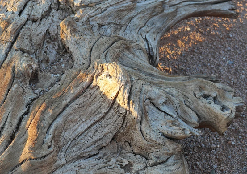 70714 Natur - Wurzel Puzzle