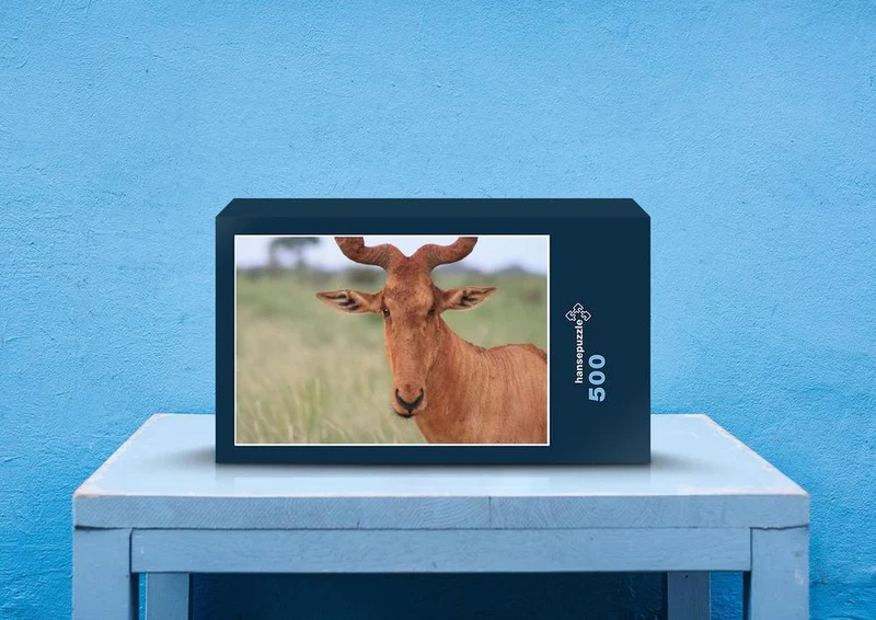80753 Natur - Hartebeest Puzzle