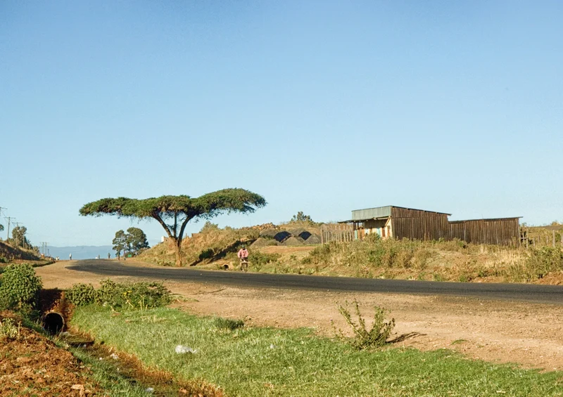 80612 Hintergründe - Kenia Puzzle