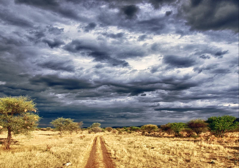 80087 Natur - Namibia Puzzle