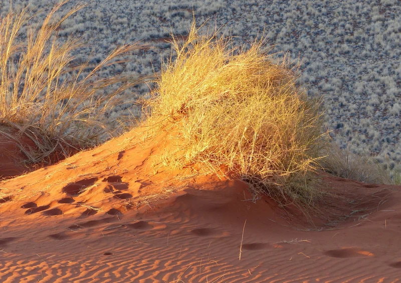 70727 Natur - Namibia Puzzle