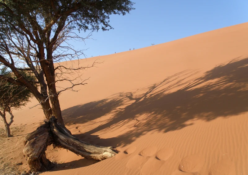 70730 Natur - Namibia Puzzle