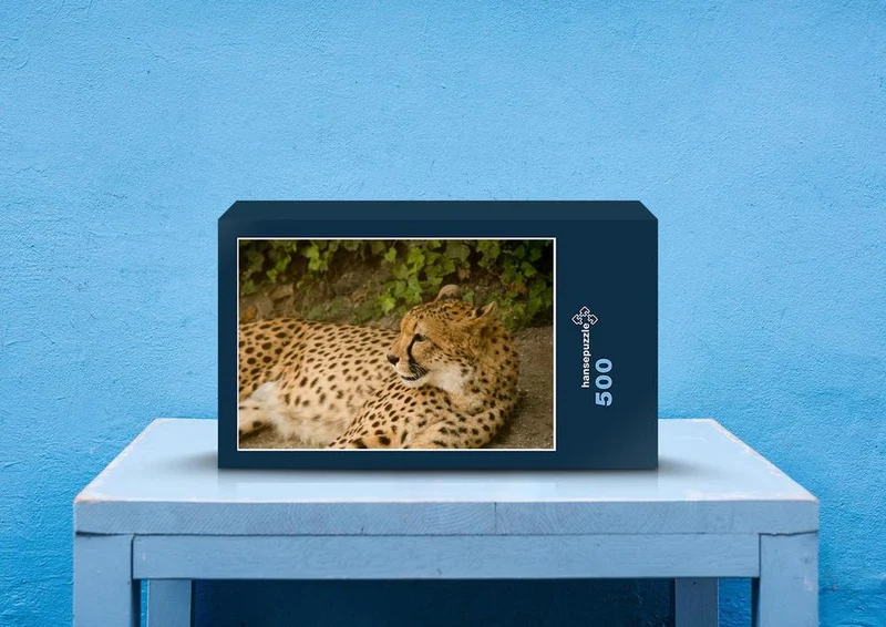 80638 Natur - Gepard Puzzle