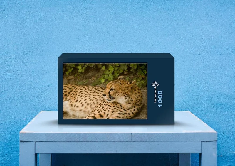 80638 Natur - Gepard Puzzle