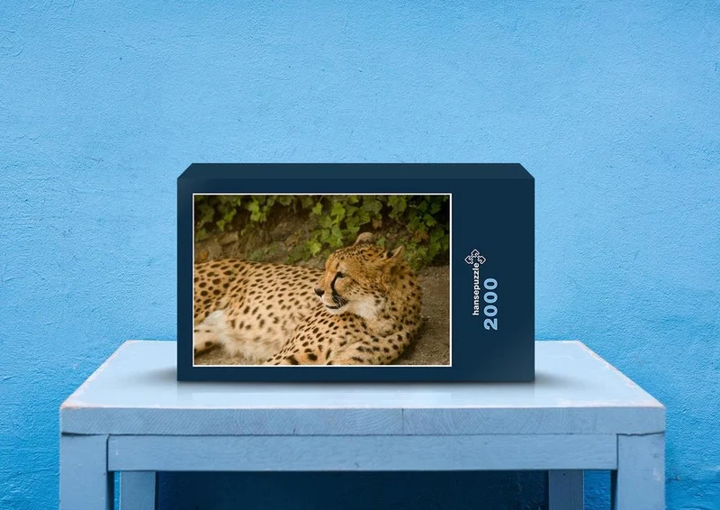 80638 Natur - Gepard Puzzle