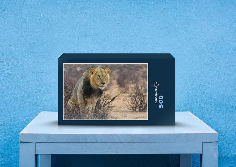 80097 Natur - Löwe Puzzle