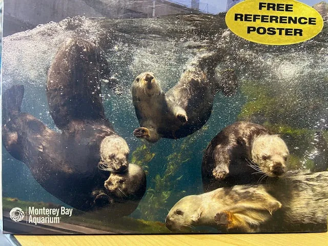 PFG Playful Otters (Usagé/Used - PUZZLES FOR GOOD)