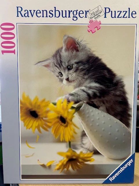 PFG Ravensburger Fun With Flowers (1000pcs) (Usage/Used - PUZZLES FOR GOOD)