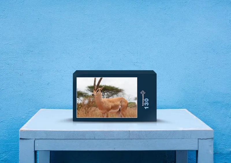 81340 Natur - Gazelle Puzzle