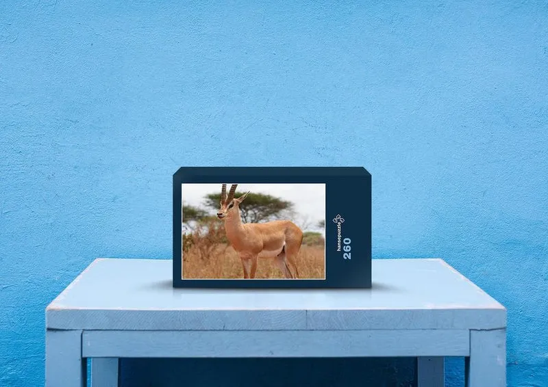 81340 Natur - Gazelle Puzzle