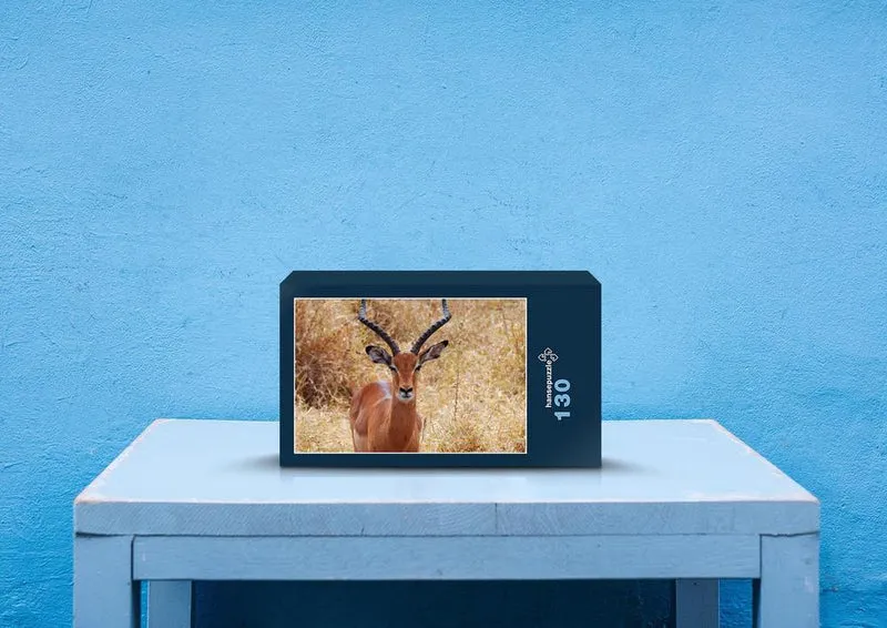 80918 Natur - Antilope Puzzle