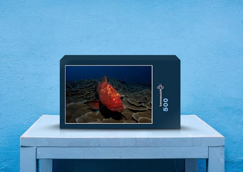 82072 Tierwelt - Fisch Puzzle