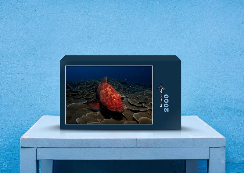 82072 Tierwelt - Fisch Puzzle