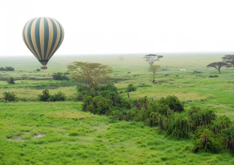82900 Natur - Afrika Puzzle