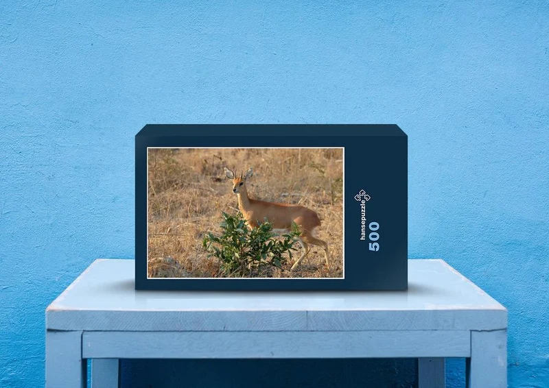 76579 Tierwelt - Steinbock Puzzle