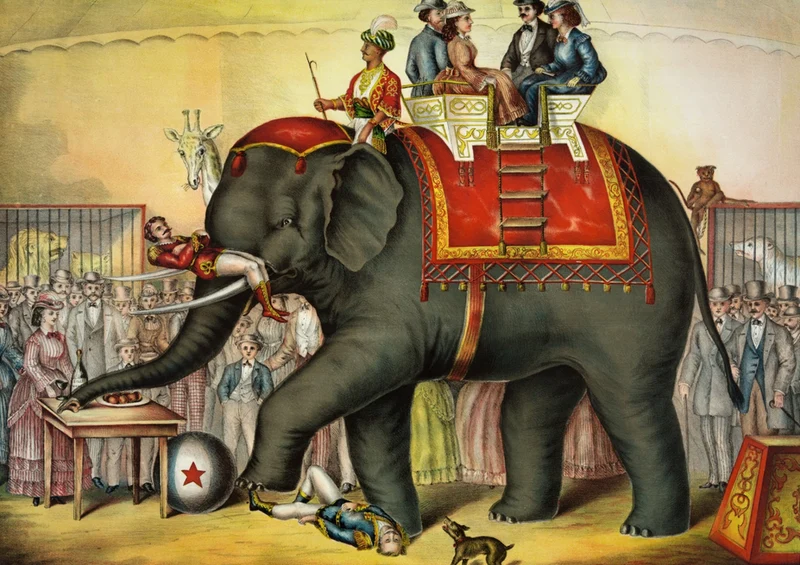 83069 Tierwelt - Kunst Puzzle