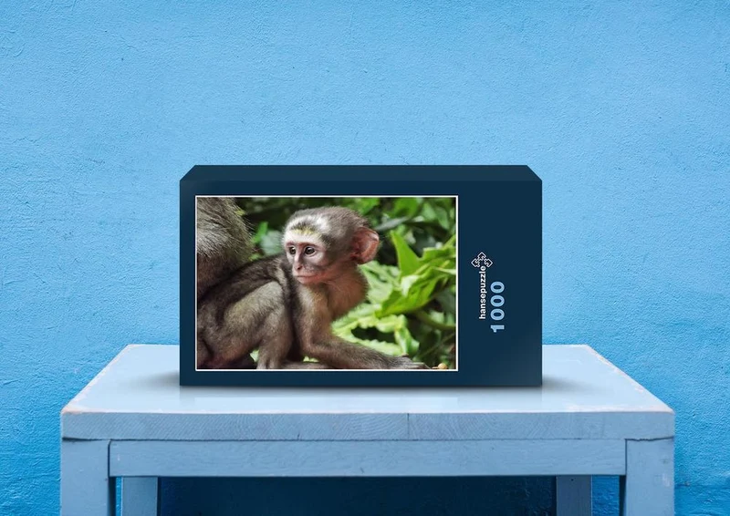 82106 Tierwelt - Affe Puzzle