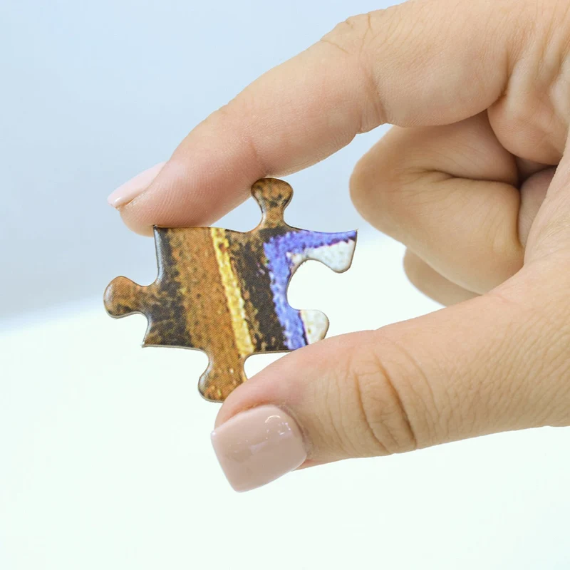 DMG Attic Treasures, Eduard (1000pcs) (EZ Grip) (DAMAGED BOX)