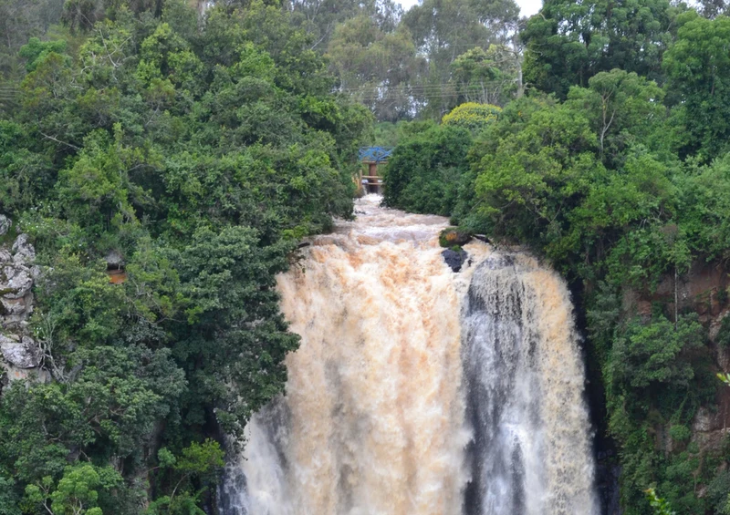 81781 Natur - Wasserfall Puzzle