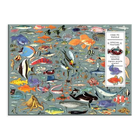 PFG Deepest Dive, Ben Gilles (Usage/Used - PUZZLES FOR GOOD)