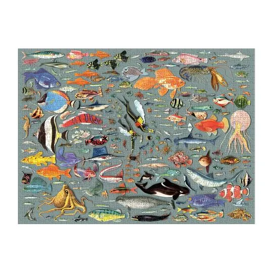 PFG Deepest Dive, Ben Gilles (Usage/Used - PUZZLES FOR GOOD)