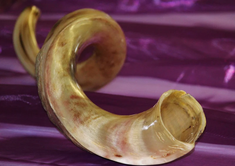 81525 Musik - Horn Puzzle