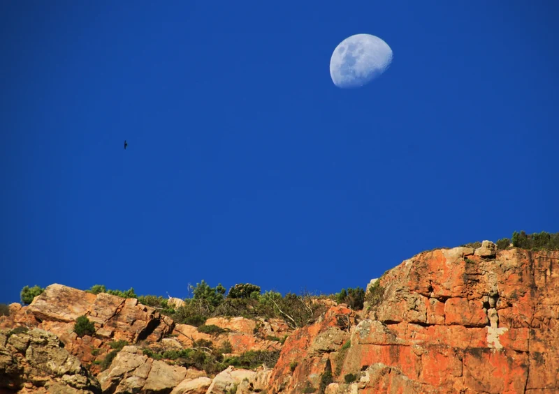 76530 Natur - Mond Puzzle