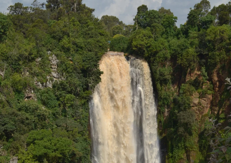 81835 Natur - Wasserfall Puzzle