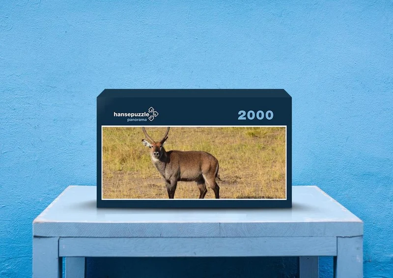 83191 Natur - Antilope Puzzle
