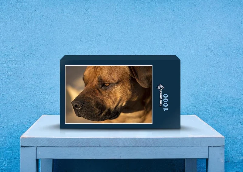 83745 Tierwelt - Boerboel Puzzle