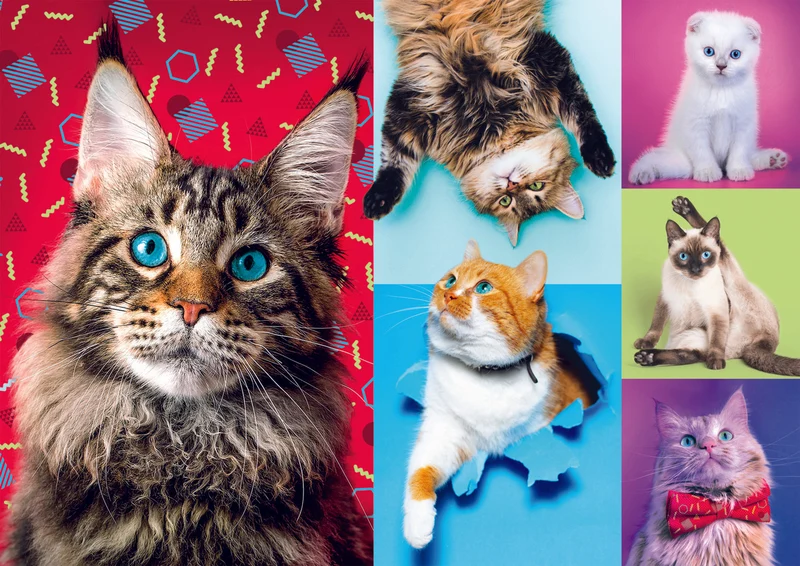PFG Happy Cats (Usage/Used - PUZZLES FOR GOOD)