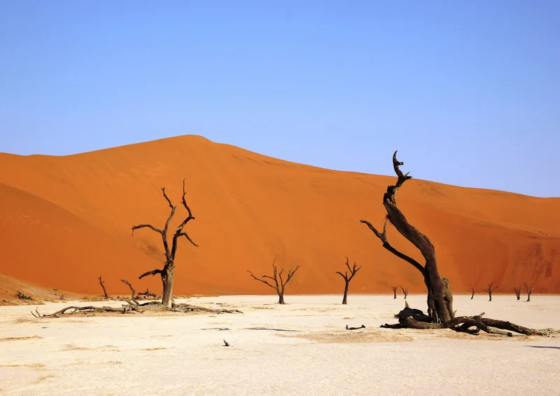 83675 Natur - Namibia Puzzle